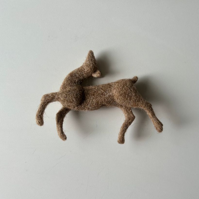 My project for course: Needle Felting Animal Creation 2
