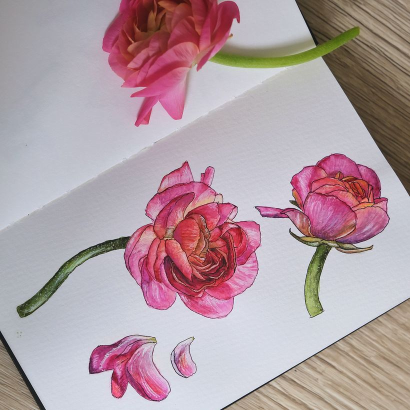 My project for course: Botanical Sketchbooking: A Meditative Approach 2