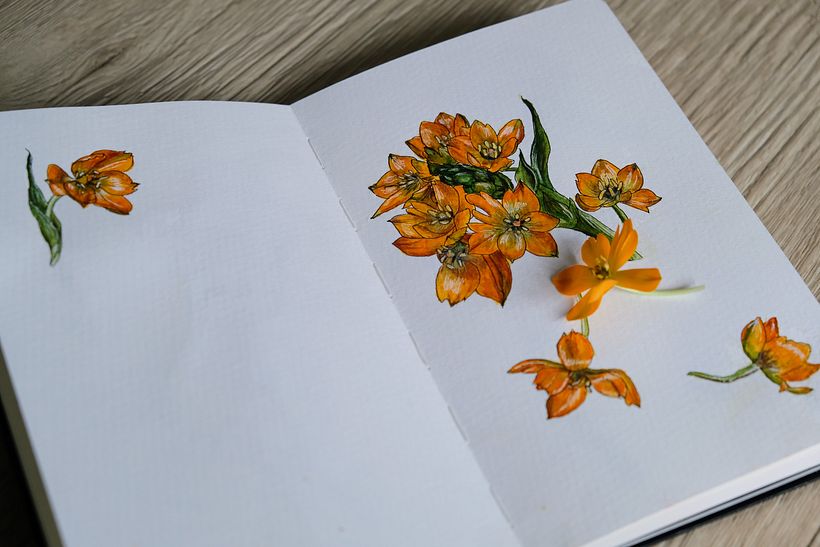 My project for course: Botanical Sketchbooking: A Meditative Approach 3