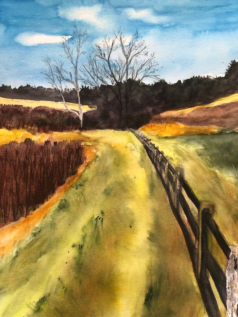 Fall Walk, Germantown, Maryland, USA