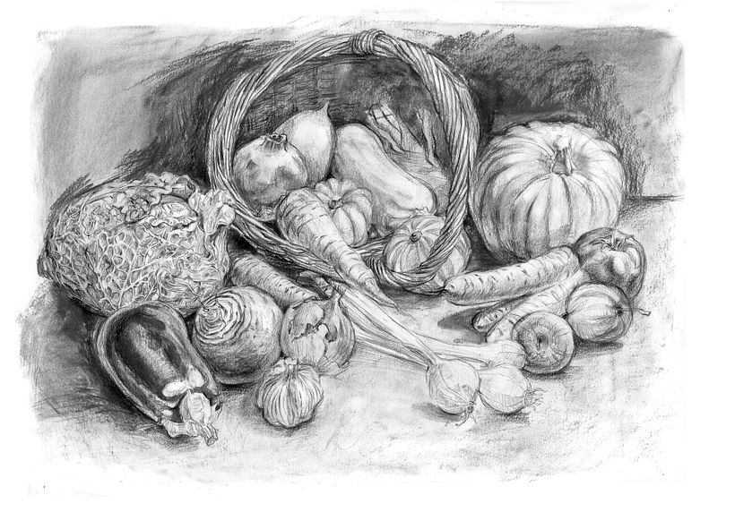 Drawing the Natural World 7