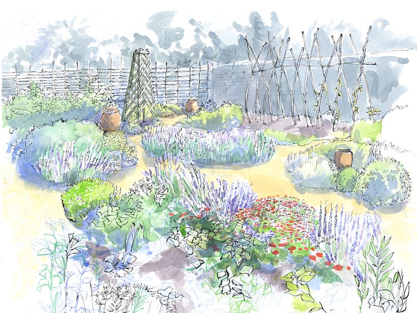 Drawing the Natural World 8