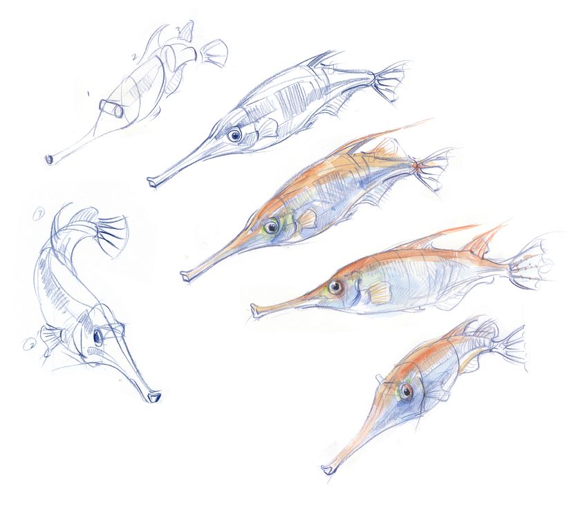 Drawing the Natural World 12