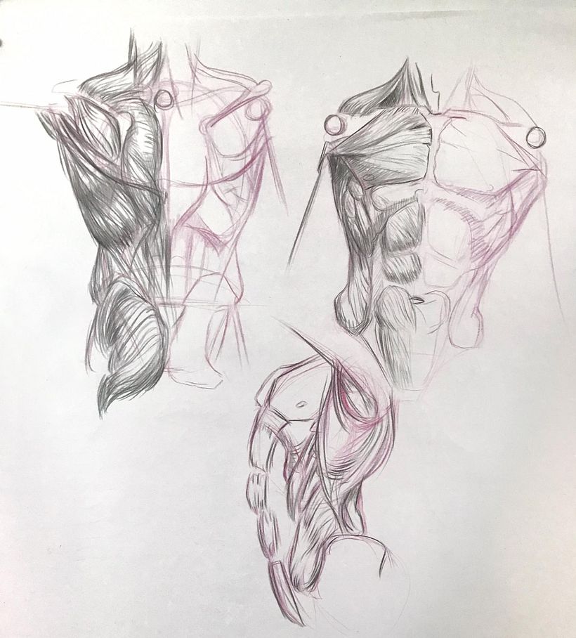 Mi proyecto del curso: Ilustración para cómics: anatomía de un superhéroe 5