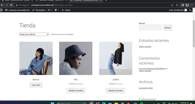 Mi proyecto del curso: Creación de una tienda online en WordPress 2