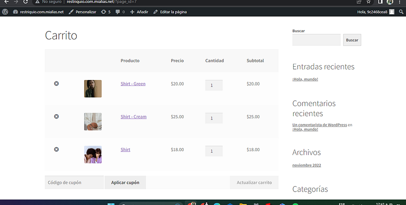Mi proyecto del curso: Creación de una tienda online en WordPress 4