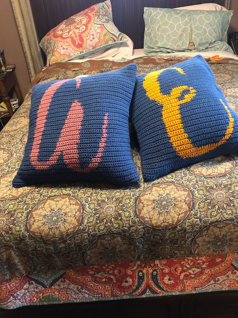My project for course: Tapestry: Crochet Techniques for Drawing with Thread  1