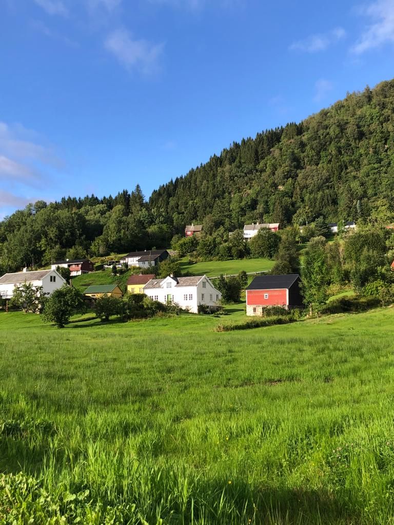NORVEGIA 2022 12