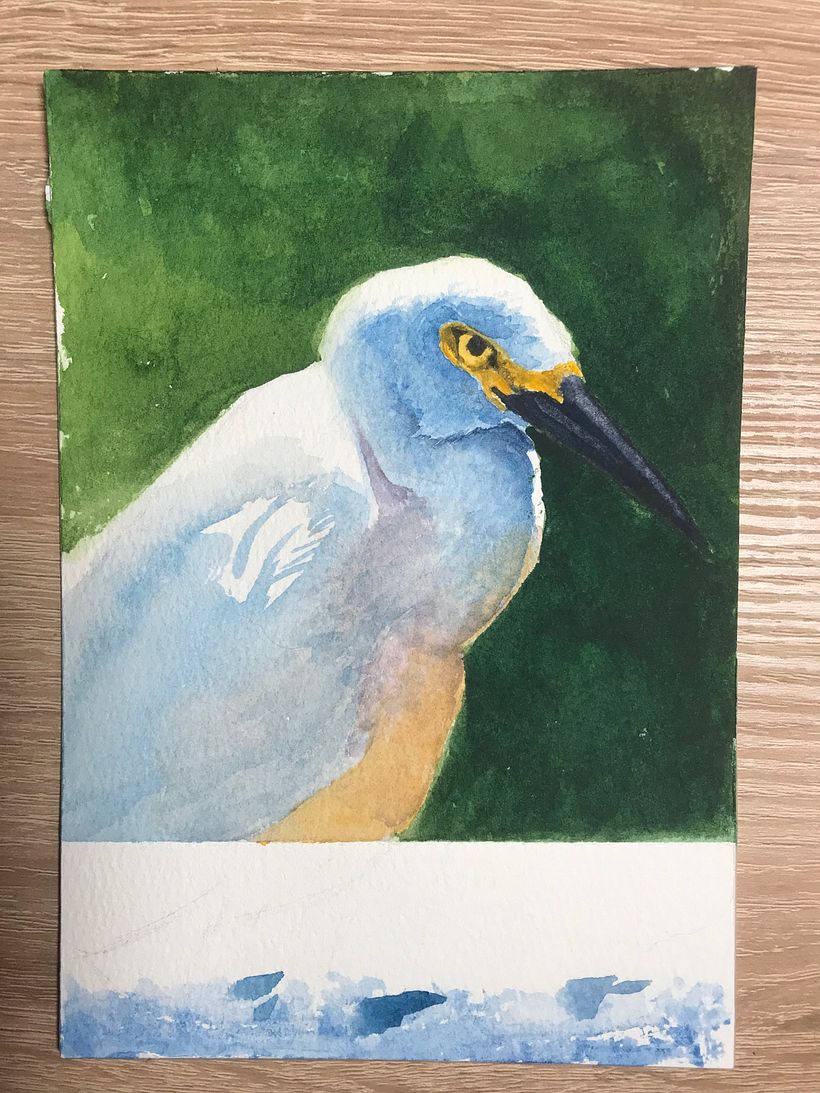 Aaron Blaise Watercolor Course 5