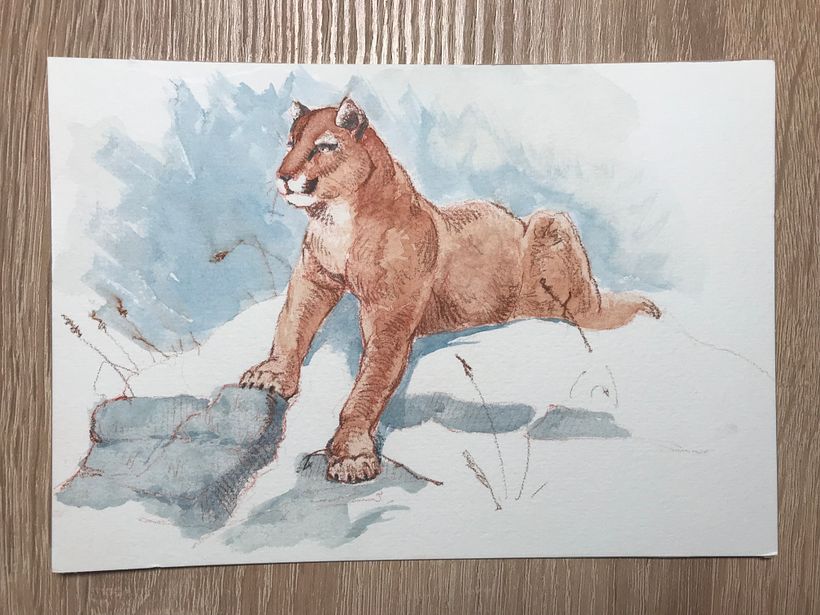 Aaron Blaise Watercolor Course 6