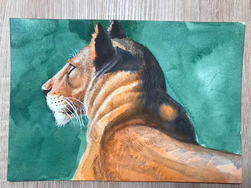 Aaron Blaise Watercolor Course 13