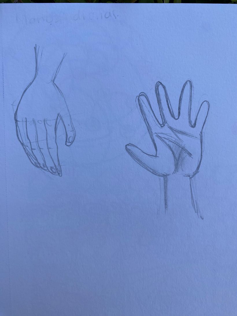 Mi proyecto del curso: Dibujo para principiantes nivel -1 1