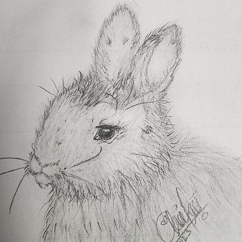 Mi proyecto del curso: Dibujo naturalista artístico a lápiz 4