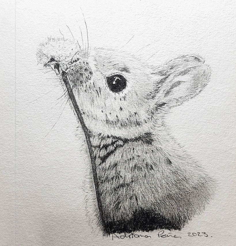 Mi proyecto del curso: Dibujo naturalista artístico a lápiz 5