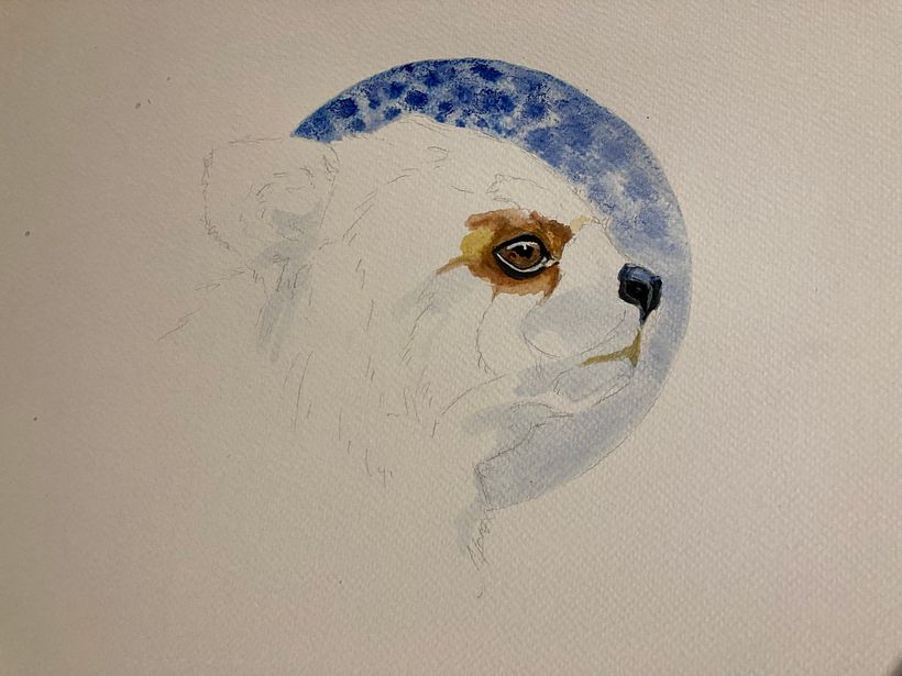Eyes and Nose