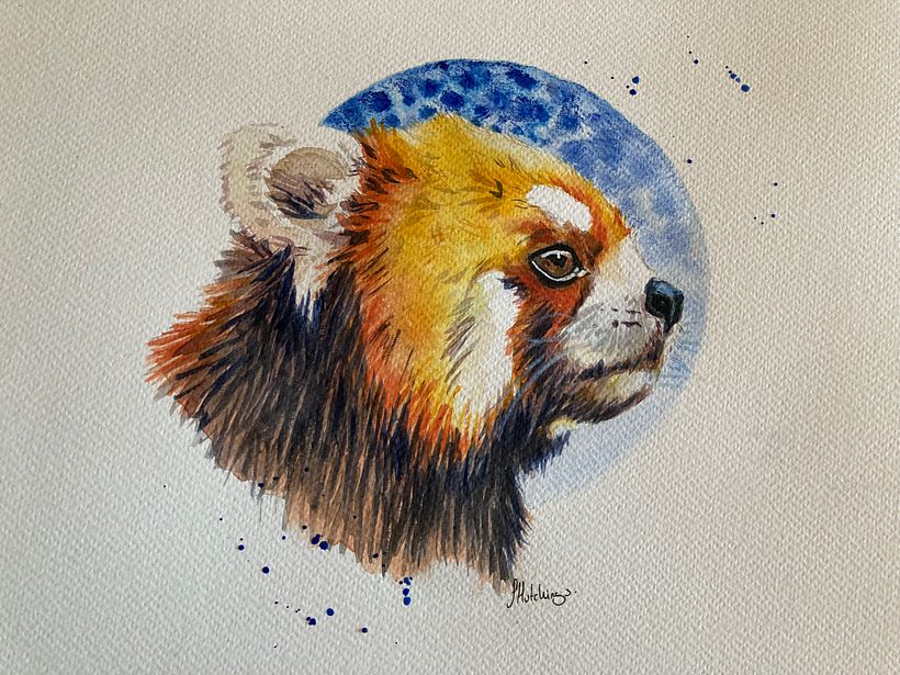 Final dark colours with whiskers and splashes