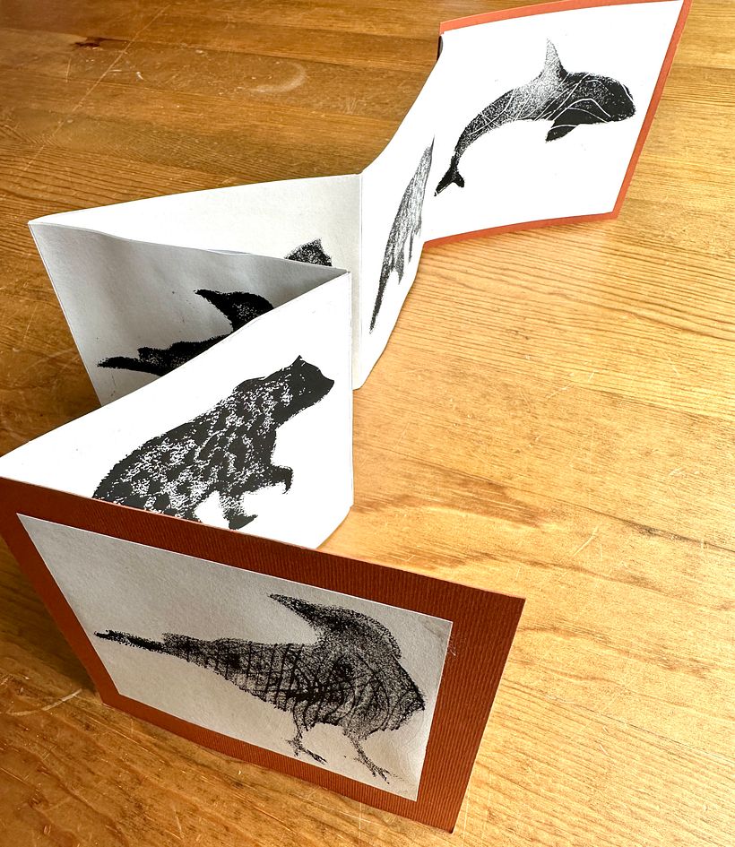I loved making the animal prints and concertina book. I'm from Vancouver in Canada so chose local animals.