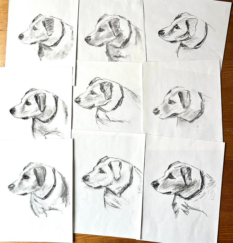 Did the charcoal exercises from a photo I took of my son's beloved Jonah.
