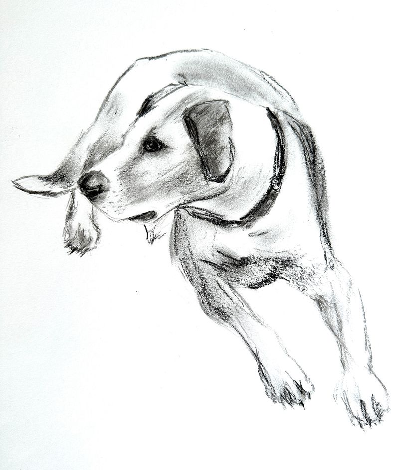 Full body drawing of Jonah. Haven't drawn with charcoal for many years and love how loose the lines can be.