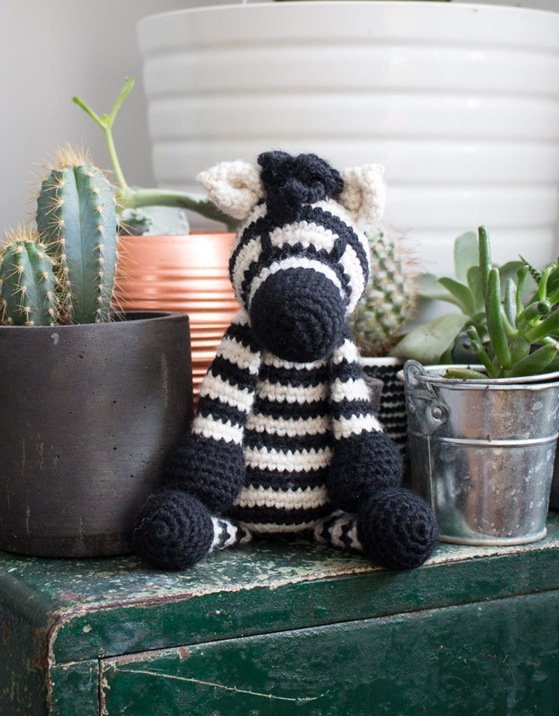 Alice de Zebra