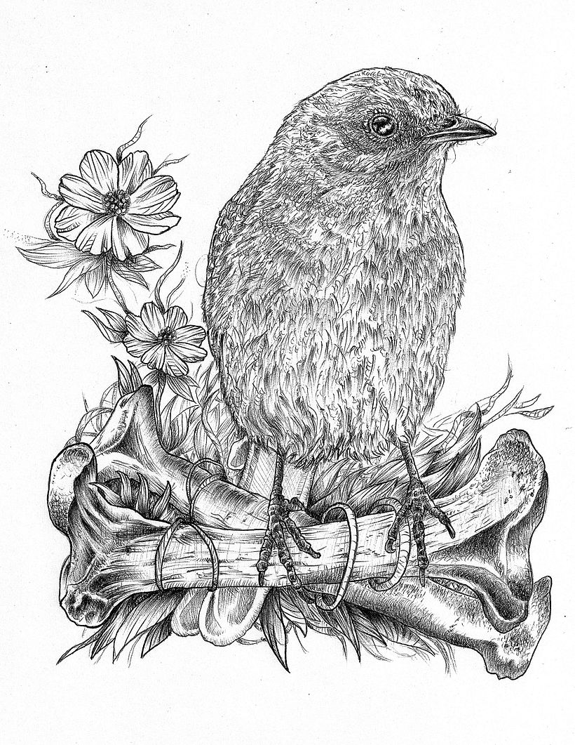 Mi proyecto del curso: Ilustración naturalista con bolígrafo 1