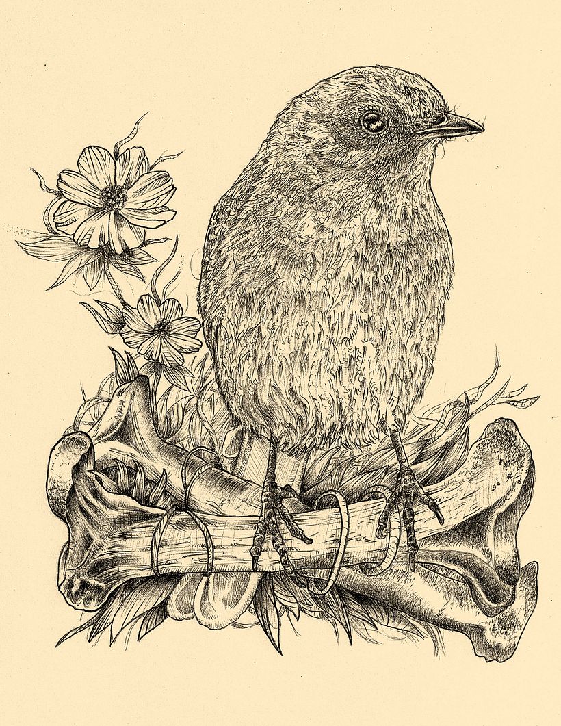 Mi proyecto del curso: Ilustración naturalista con bolígrafo 2