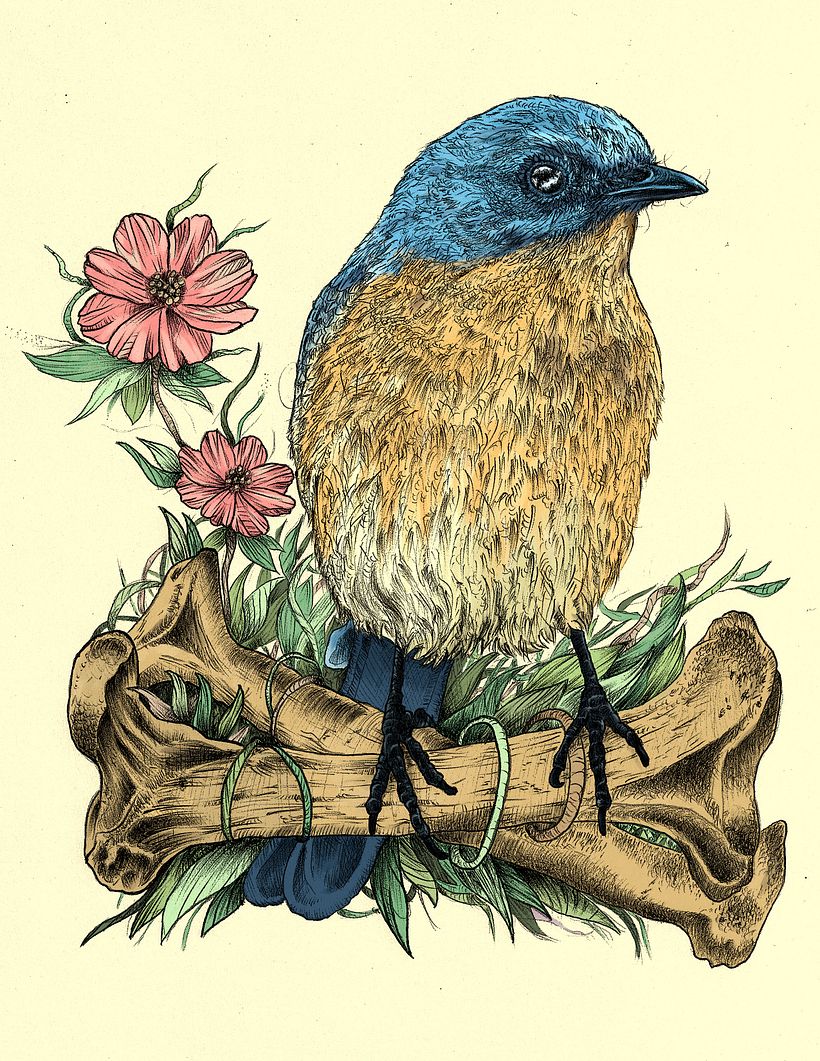 Mi proyecto del curso: Ilustración naturalista con bolígrafo 3