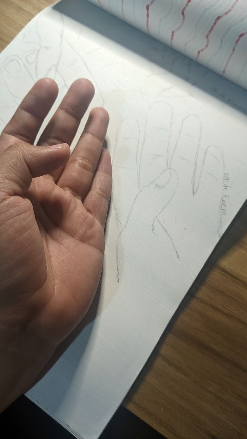 Mi proyecto del curso: Dibujo para principiantes nivel -1 14