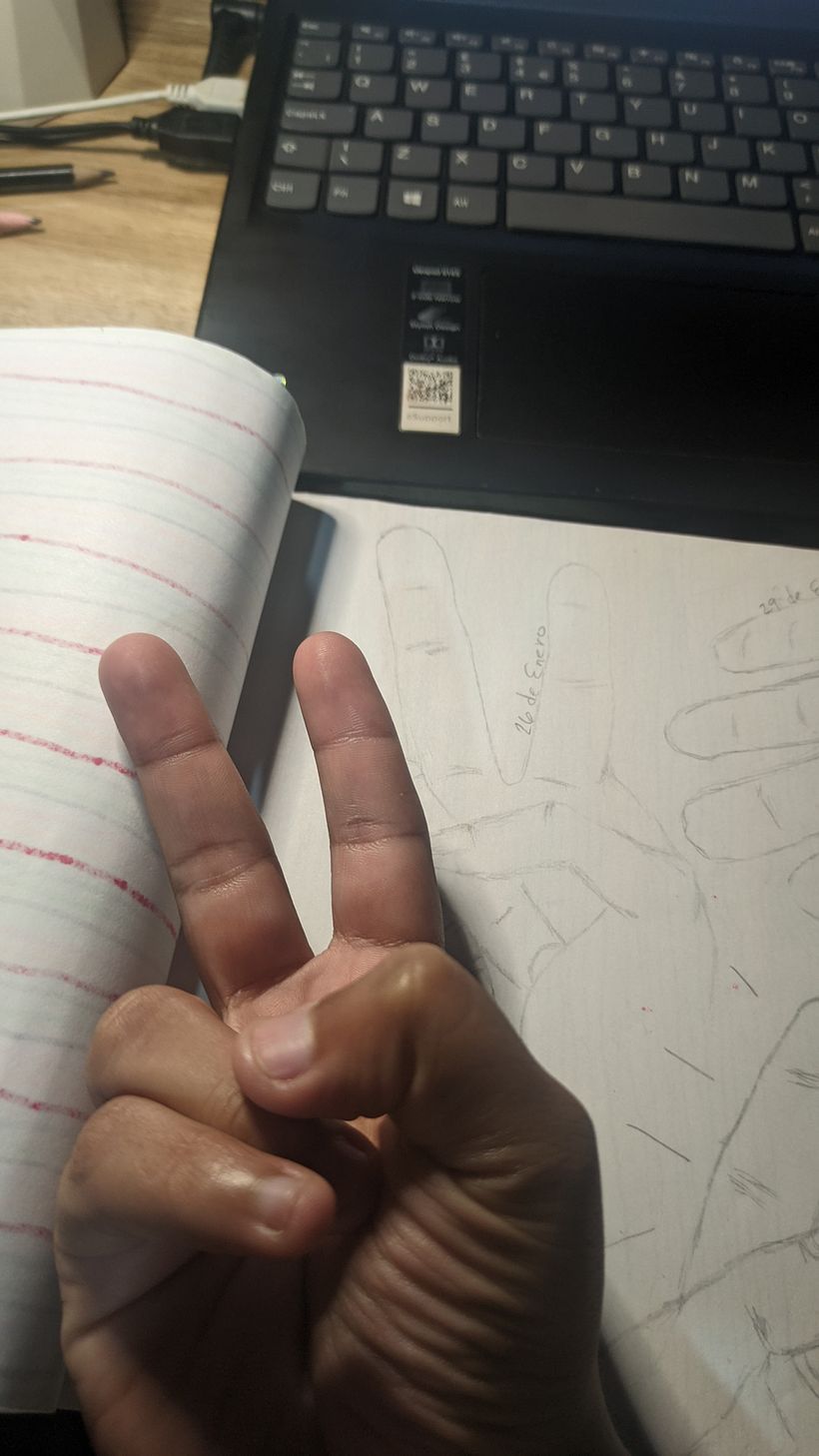 Mi proyecto del curso: Dibujo para principiantes nivel -1 15