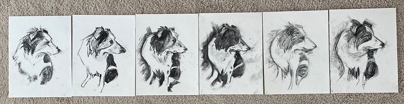 This was the exercise in drawing with different methods of charcoal 
