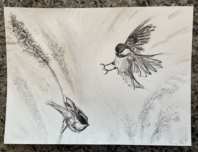 Use of charcoal powder and some willow charcoal