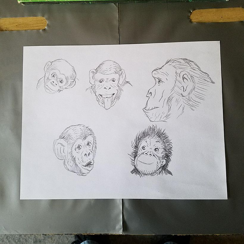 Mi proyecto del curso: De principiante a superdibujante 18
