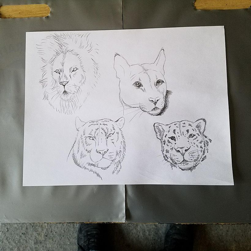 Mi proyecto del curso: De principiante a superdibujante 20
