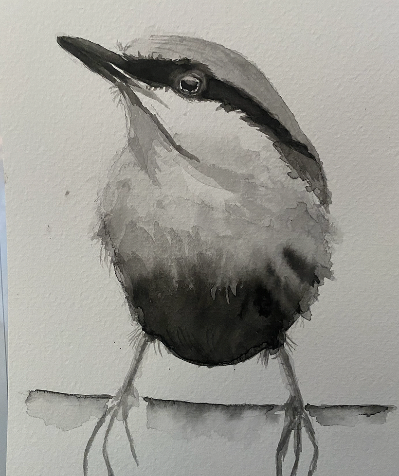 My project for course: Artistic Watercolor Techniques for Illustrating Birds 3