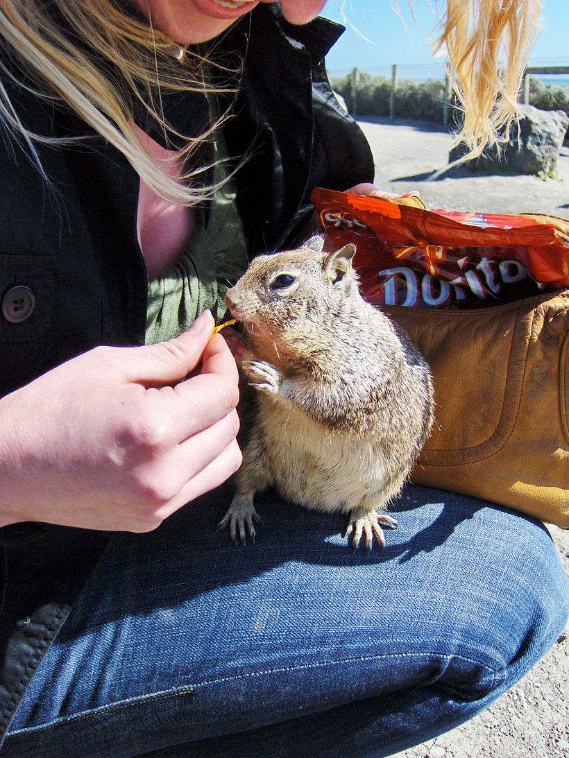 Research trip – LA to Big Sur