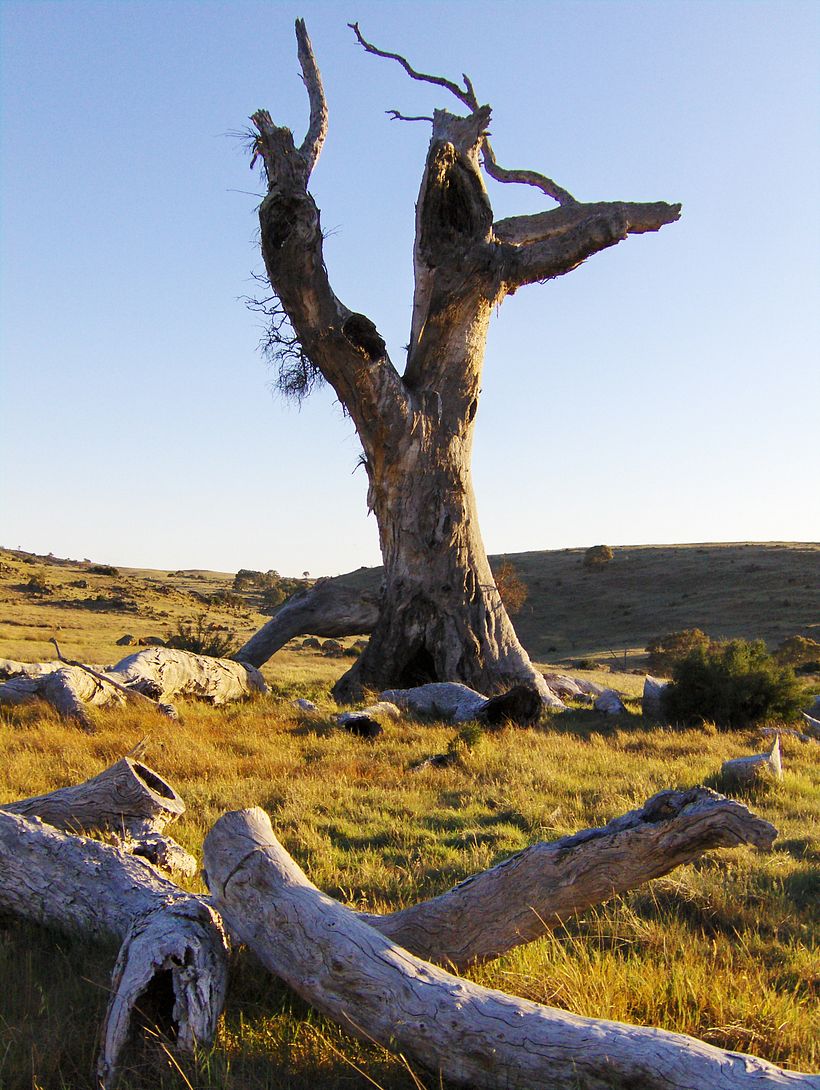 Research trip – Eden Valley, South Australia