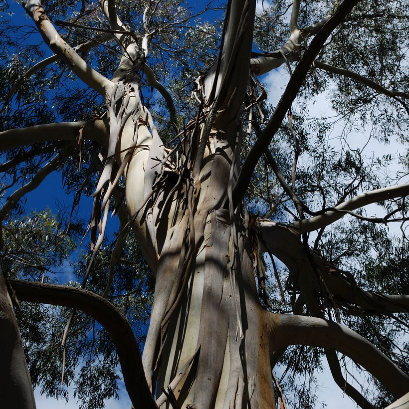 Research trip – Adelaide Hills, South Australia