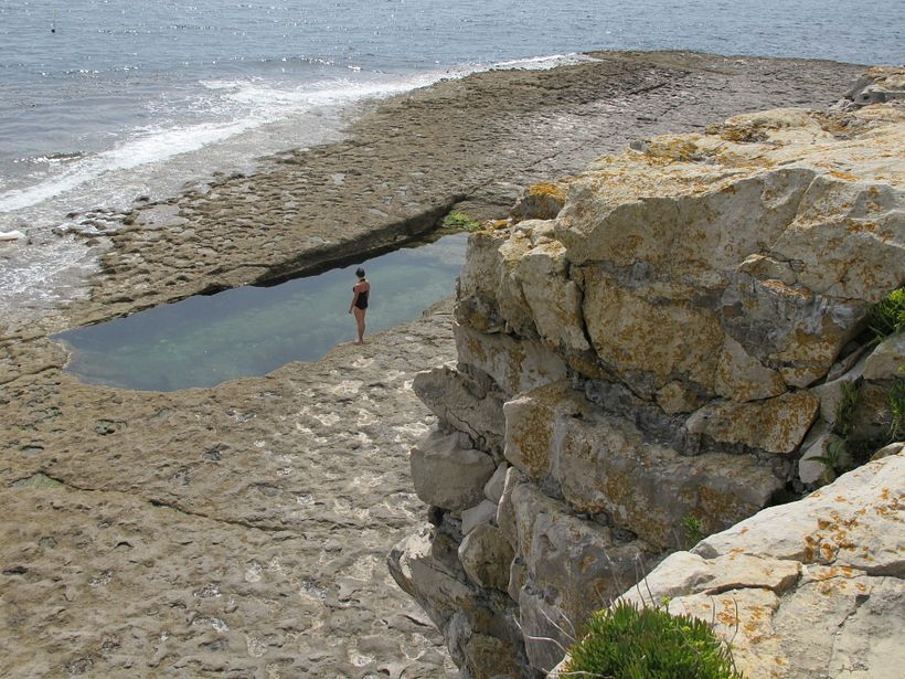 Research Trip – Dancing Ledge, Dorset, UK