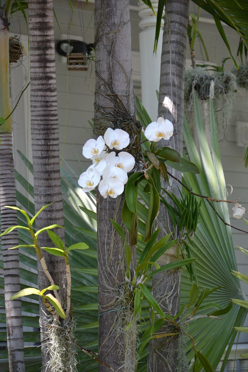 Research trip – Key West, USA