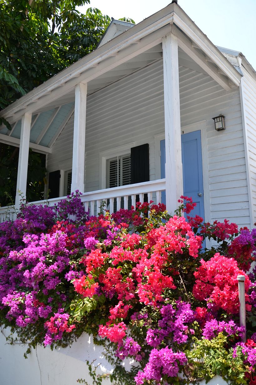 Research trip – Key West, USA