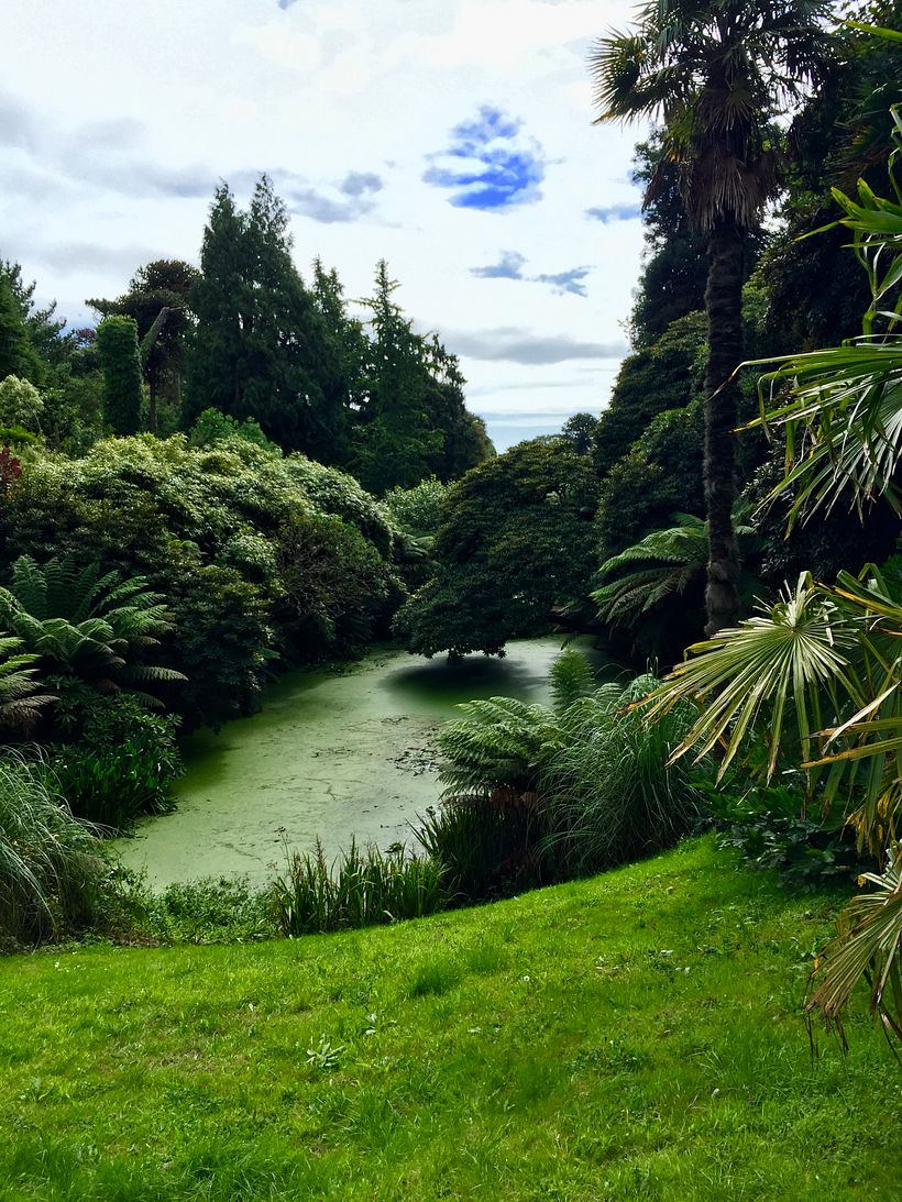 Research Trip – Lost Gardens of Heligan, Cornwall, UK