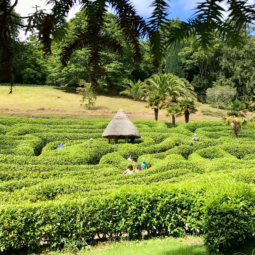 Research Trip – Glendurgan Garden, Cornwall