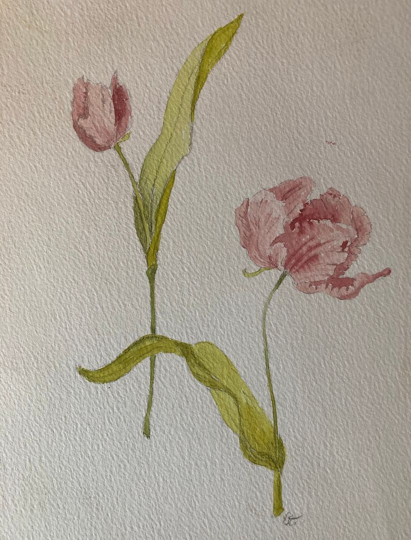 Botanicals  5