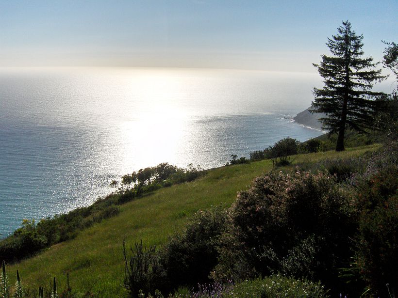 Research Trip – Big Sur