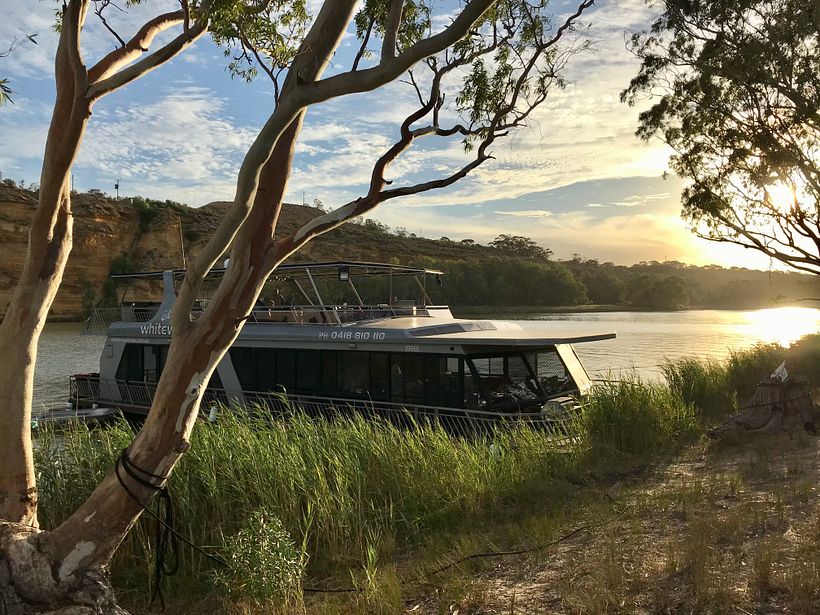 Research trip – Murray River, South Australia
