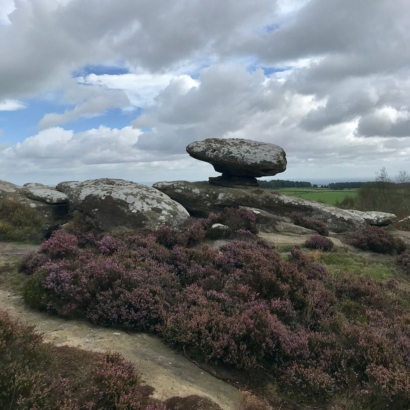 Research trip – Brimham Rocks, UK