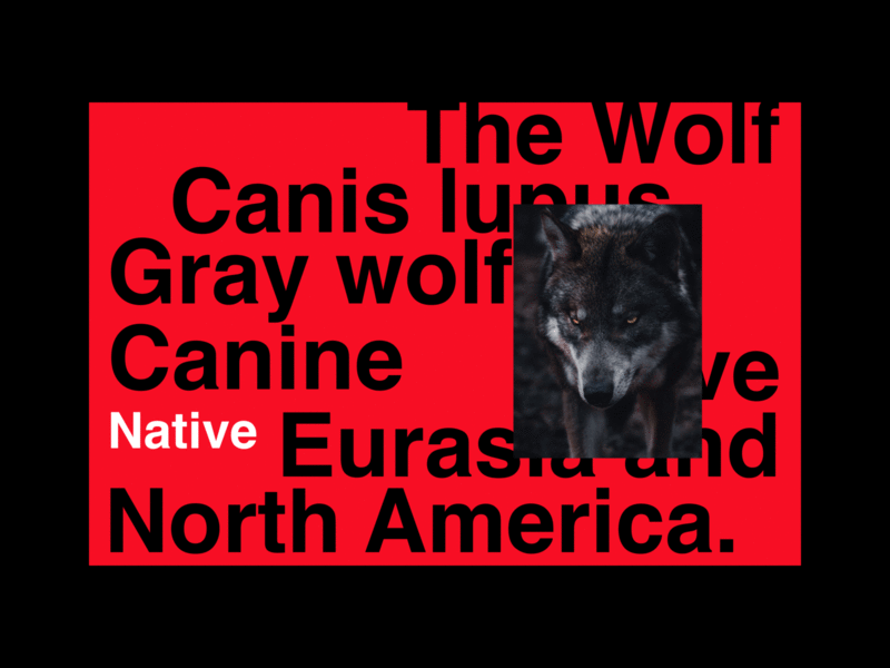 Mi proyecto del curso: Diseño de porfolios con Figma: promociónate como creativo 1