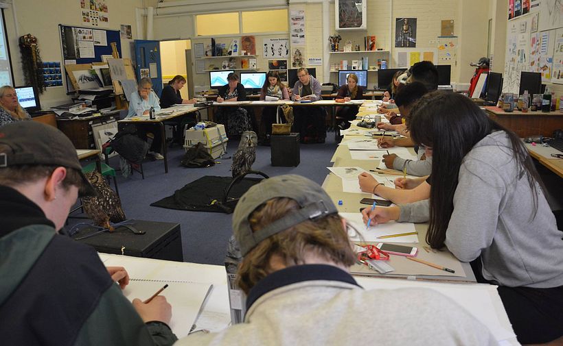 Drawing from live owls in the studio