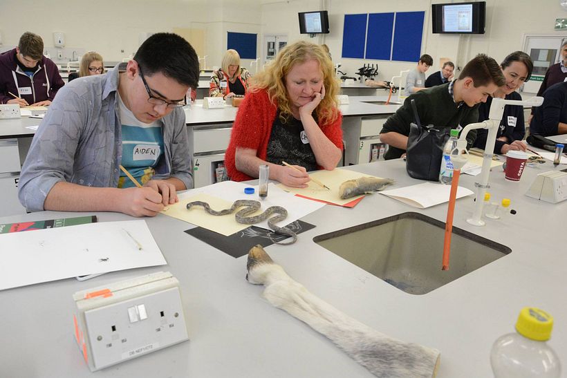 Specimen drawing with the Nancy Rothwell finalists at the RVC