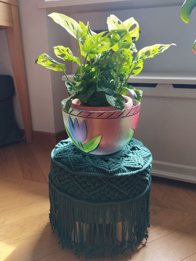 Il mio progetto del corso: Tecniche di macramè rotondo 1